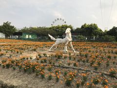 -广东花都香草世界旅游度假区
