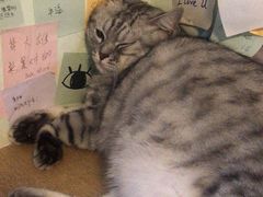 -H立方实景剧情密室(天河旗舰店)