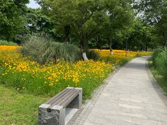 -长广溪湿地公园