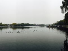 景点-什刹海-后海