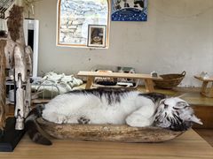 -小时光咖啡馆(开森度假森林店)
