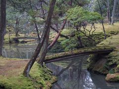 -西芳寺(苔寺)