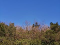 -海兰云天度假区温泉