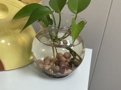 -会麦二手奢侈品包包手表回收寄卖(八佰伴店)