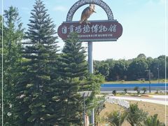 -自贡恐龙博物馆