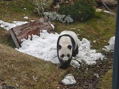 -无锡动物园·太湖欢乐园