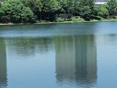 -美兰湖景区