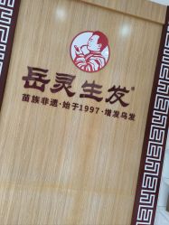 -岳灵生发养发馆