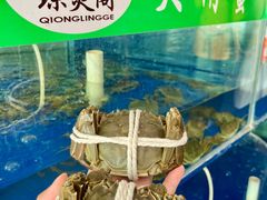 -阳澄湖大闸蟹·琼灵阁牌品牌连锁(吴中总店)