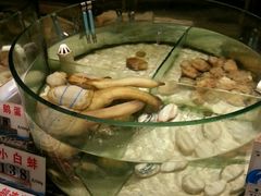 -珍宝轩海鲜火锅(碧湖大厦店)