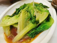 白灼生菜-饭怕鱼·黄焖鲟龙鱼(湖大店)
