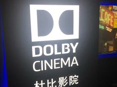 -万达影城(闵行颛桥万达广场杜比影院店)