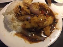 -翠华餐厅(湾仔店)