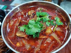 -老妈火锅粉(幸福路步行街店)