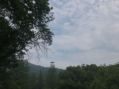 -杭州花家山庄