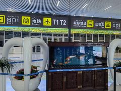 -乌鲁木齐天山国际机场-T3航站楼