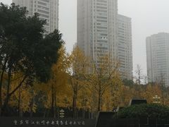 -重庆市江北嘴中央商务区中央公园