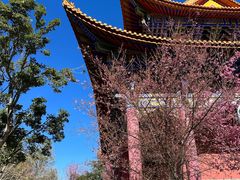 -崇圣寺三塔文化旅游区