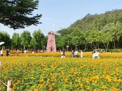 -顺峰山公园
