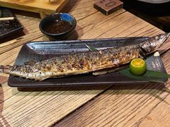 -酒窝烧鸟(科华街店)