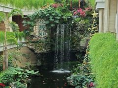 -广州白天鹅宾馆