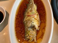 黄花鱼-蓝珊甄选海鲜自助·火锅大排档(近阿那亚店)