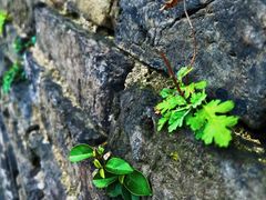 -川沙古镇-停车场