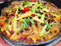 老板恋上鱼-老板恋上鱼(恒隆广场店)