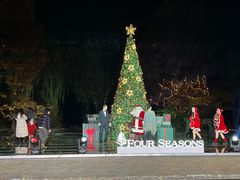 -杭州西子湖四季酒店-WL BISTRO西湖餐厅(灵隐路店)