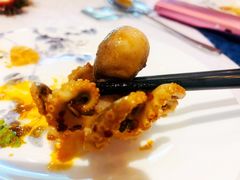 捞拌八带鱼-卫鼎轩·家宴(水上公园店)