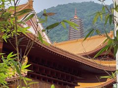 -深圳仙湖植物园
