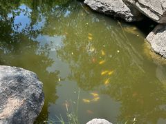 -太阳宫公园