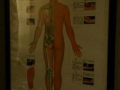 -莱蔻·圣灸堂·推拿艾灸(天山店)