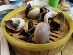 -渡海小渔村.老辈日照菜