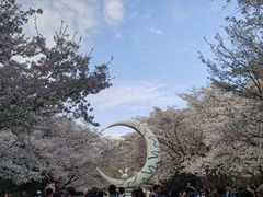 -杭州少年儿童公园