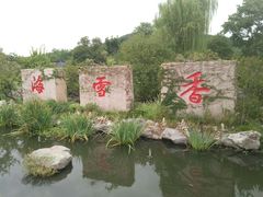 -香雪海