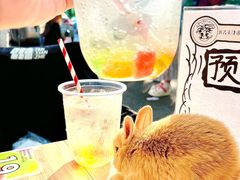 -大象厨房(重庆道店)