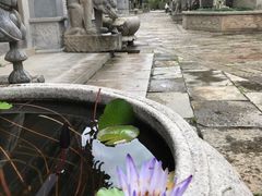 -龙潭水乡