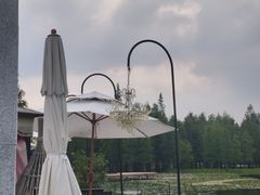 -白鹭湾湿地公园