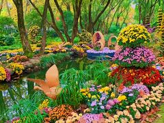 -上海共青森林公园