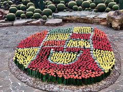 -南通洲际绿博园