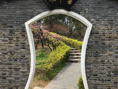 -南汇桃花村
