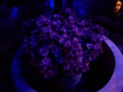 android_upload_pic-天目湖涵田度假村