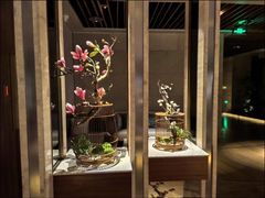 -浅深(北京北四环精品店)