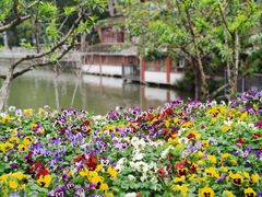 -西湖公园(鼓楼区)