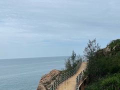 -广东惠东海龟国家级自然保护区
