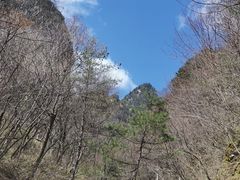 -朱雀国家森林公园