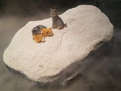 -将太无二·北美传奇寿司(荟聚购物中心西红门店)