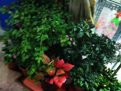 -爱尚鲜花店(粤通综合楼店)