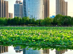 -保定东湖公园(莲池区)